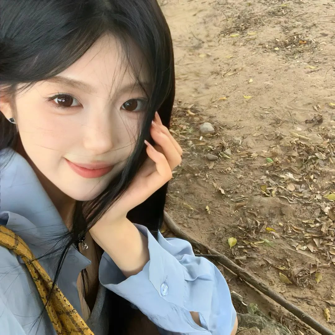 完美家伙